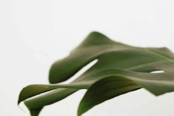 sylvie-tittel-yNYNzwMH6mQ-unsplash